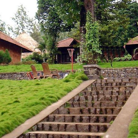 Hotel Misty Woods Дармсала Екстер'єр фото