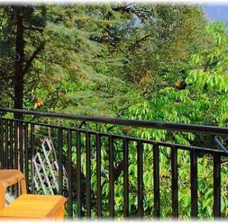 Hotel Misty Woods Дармсала Екстер'єр фото